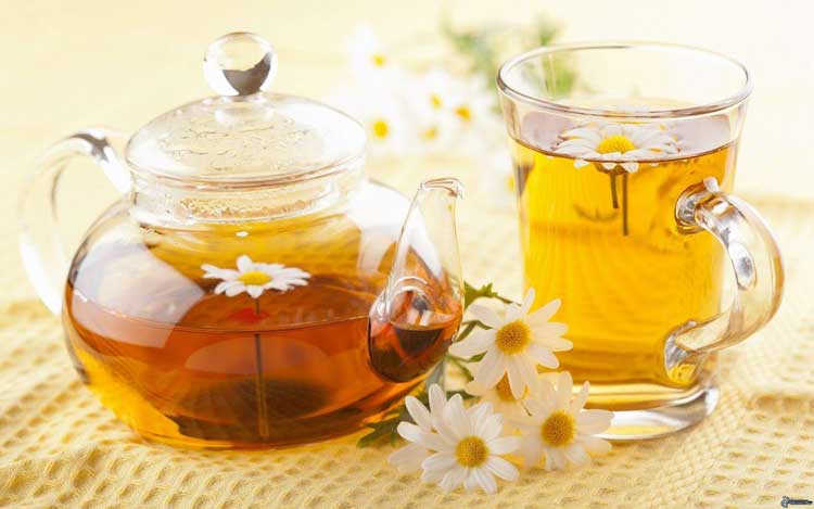 Uống trà hoa cúc có tác dụng gì?